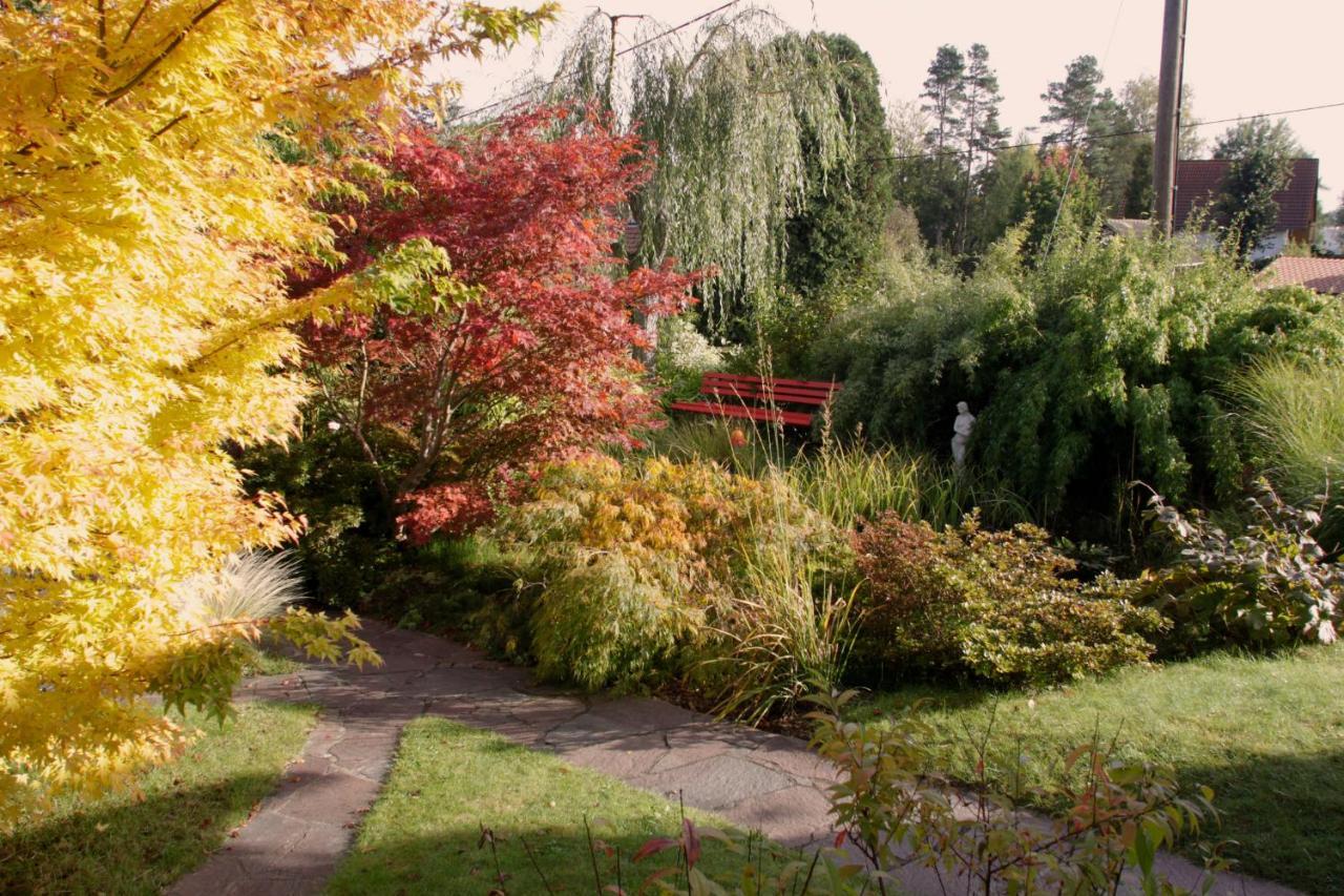 Apartament Ferienhaus "Am Waldsaum" Kurort Gohrisch Zewnętrze zdjęcie